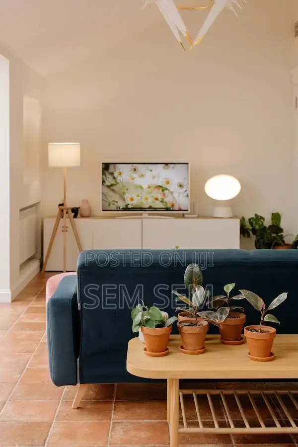 Furnished 2bdrm Apartment in Bole for sale