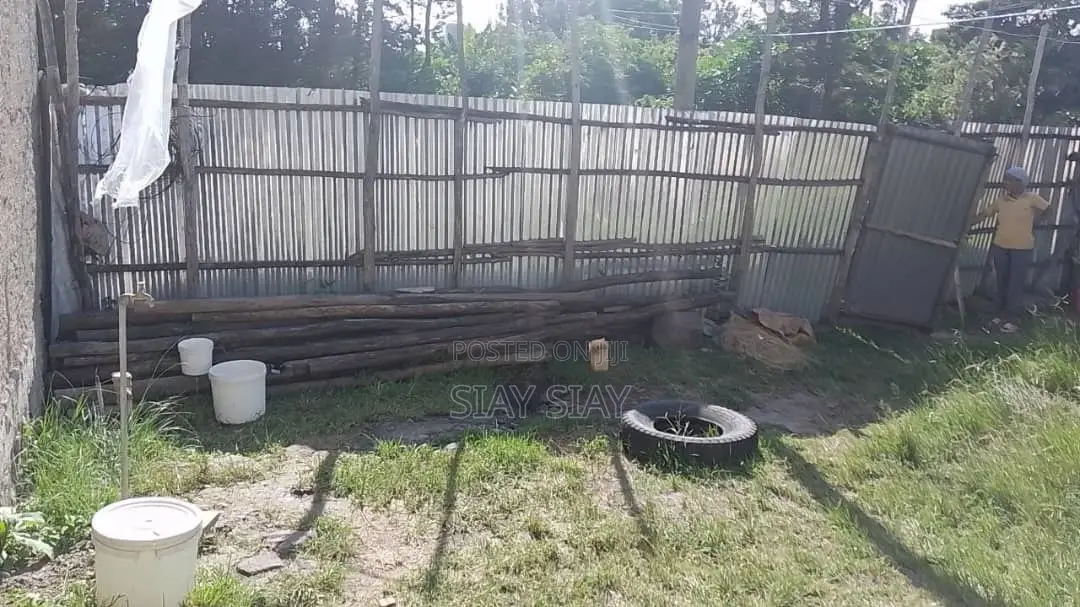 Land for Sale in Kaliti / ቃሊቲ የሚሸጥ መሬት