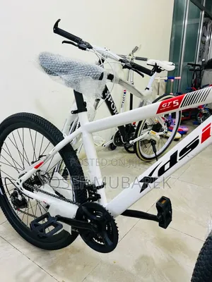 Photo - Glare¶¶ሳይክልስኩተር