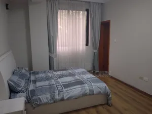 Furnished 1bdrm Apartment in Lideta for rent