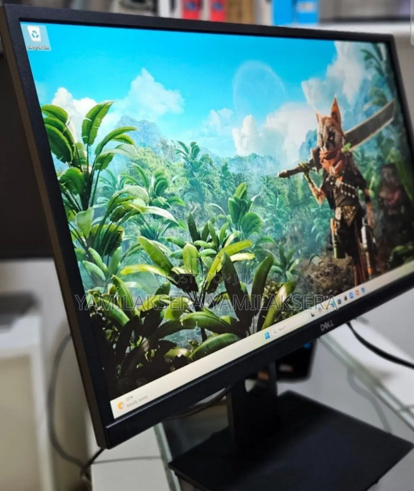 Dell Monitor
