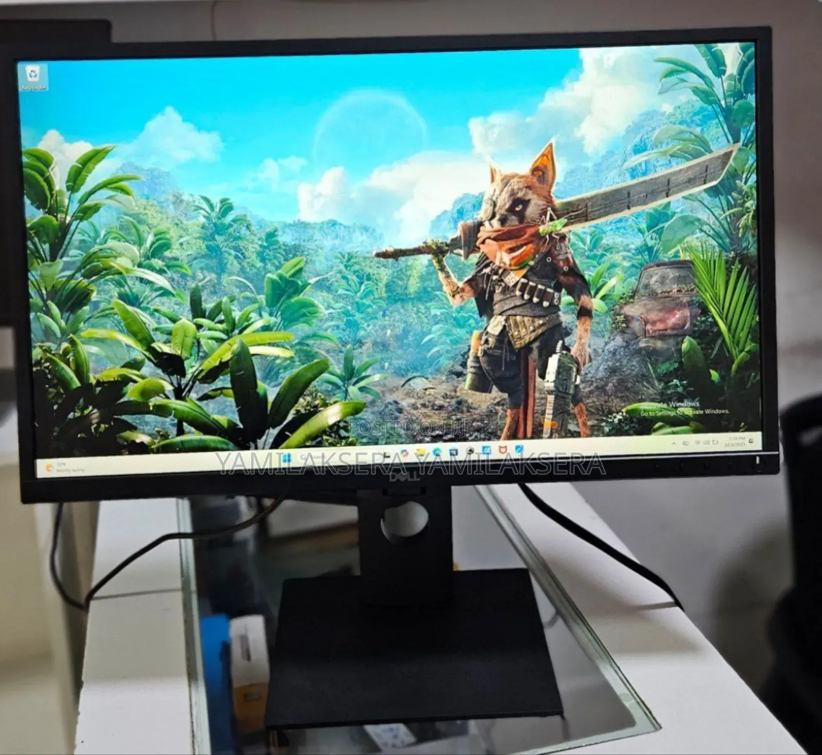 Dell Monitor