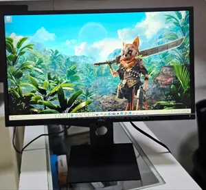 Photo - Dell Monitor