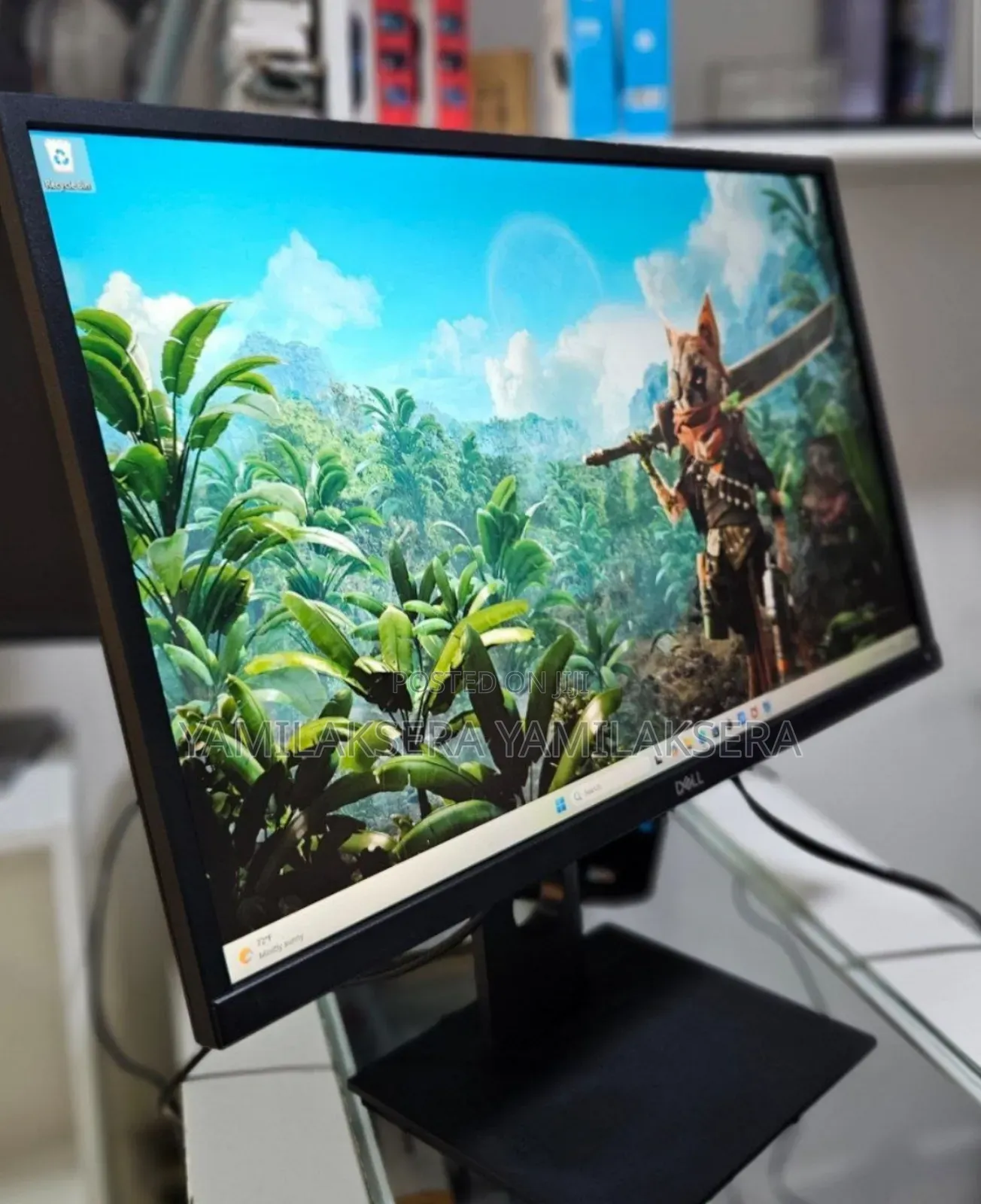 Dell Monitor