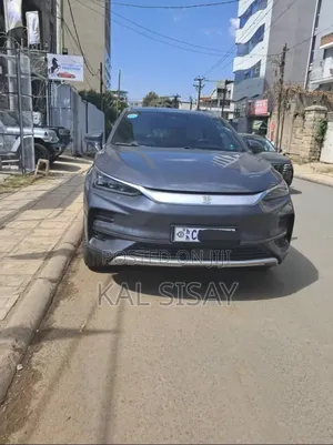 Photo - BYD Tang EV 2023 Gray