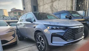 New BYD Tang DM-i 2025 Gray
