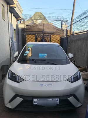 Photo - BYD Seagull 38 kWh FWD 2024 Ivory