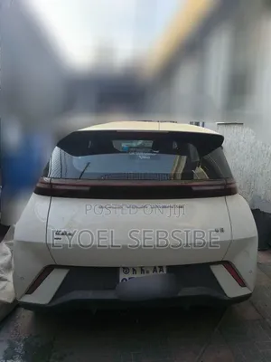 BYD Seagull 38 kWh FWD 2024 Ivory