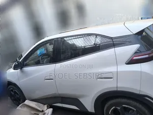 BYD Seagull 38 kWh FWD 2024 Ivory