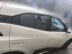 BYD Seagull 38 kWh FWD 2024 Ivory