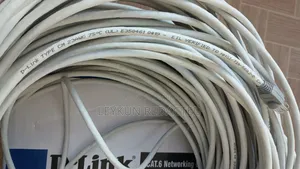 D-Link Utp Cat 6 100m Cable
