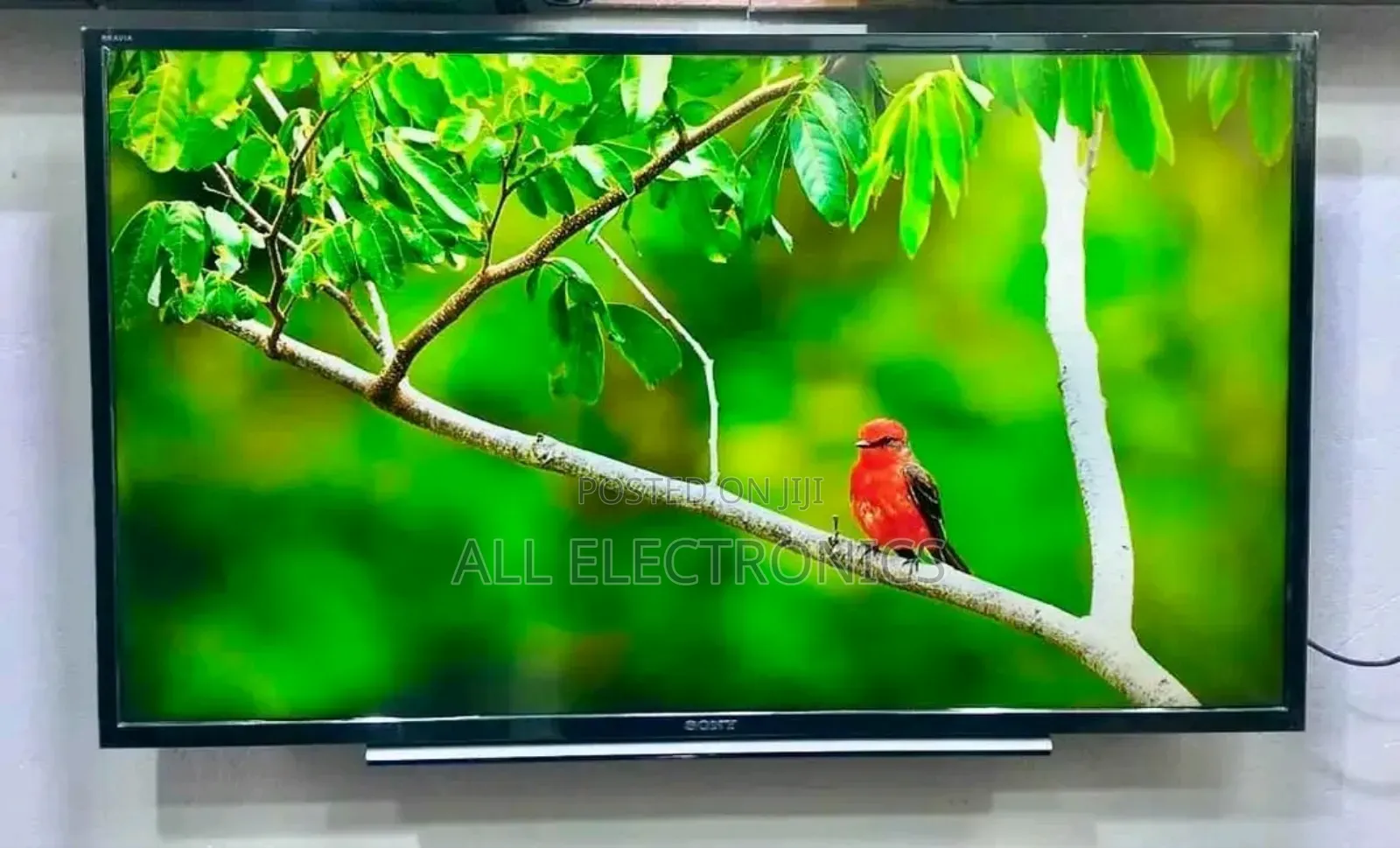 ኦርቢት 50"Inch Smart Tv