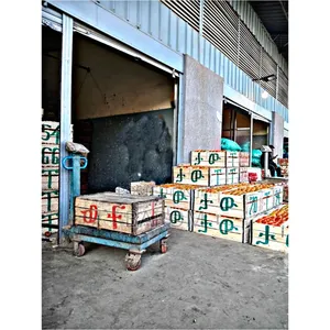 Photo - የአትከልት ሳጥን