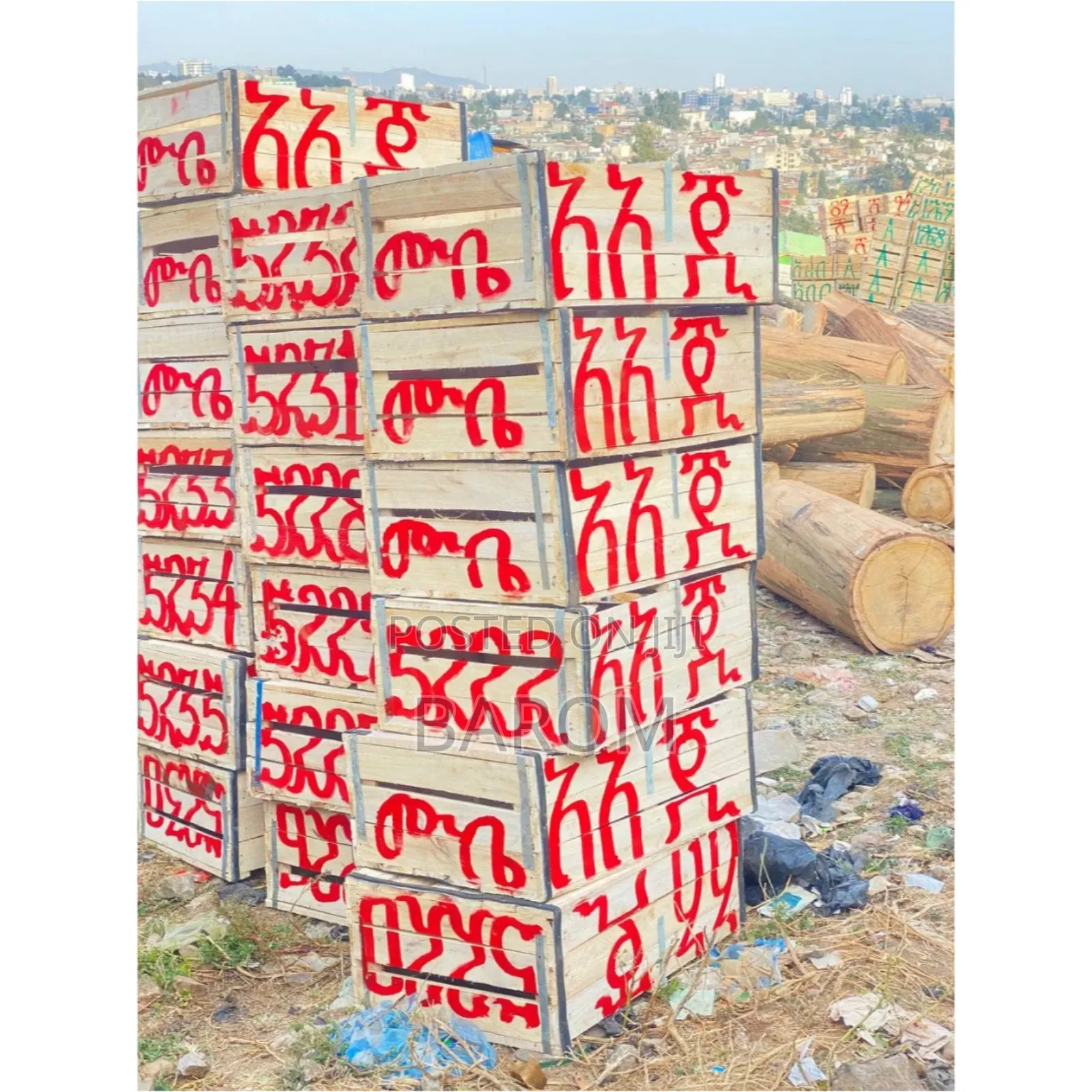 የአትከልት ሳጥን