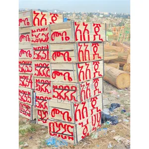 የአትከልት ሳጥን