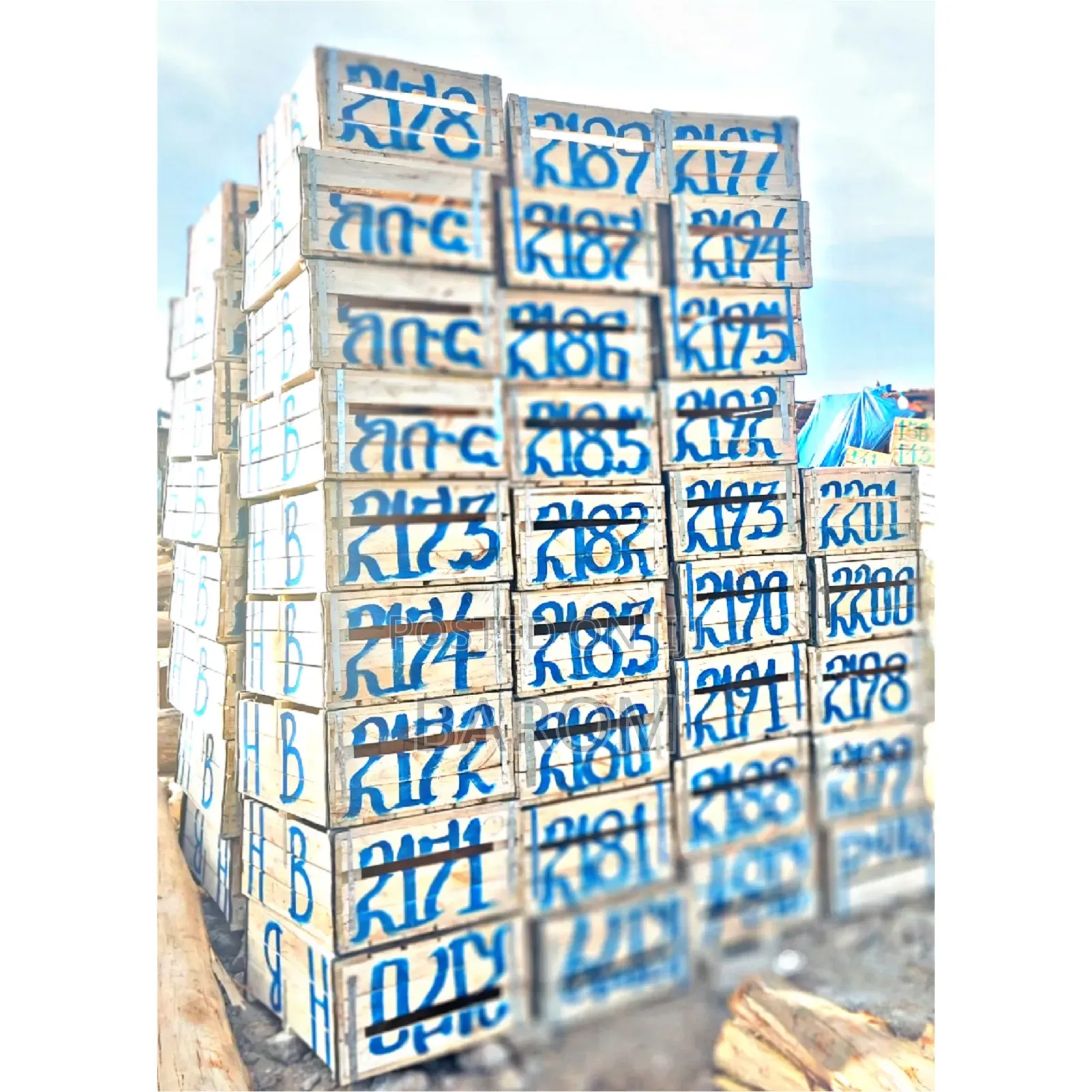 የአትከልት ሳጥን