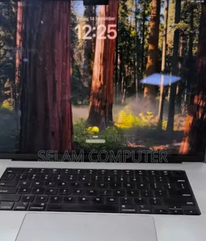 New Laptop Apple MacBook Pro M1 64GB Apple M1 SSD 1T