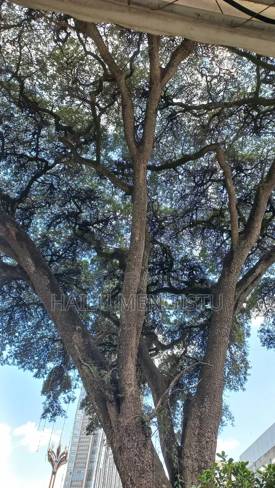 2bdrm Apartment in 📞 Contact Me, Gullele for sale