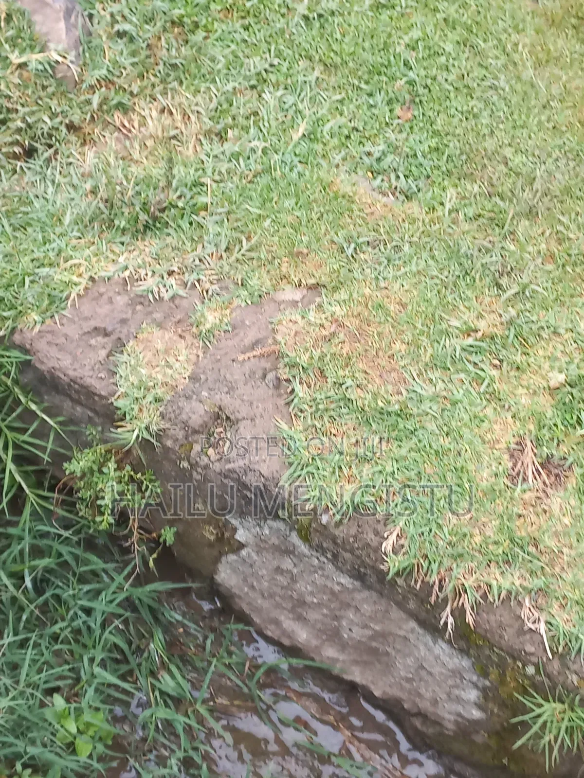 2bdrm Apartment in 📞 Contact Me, Gullele for sale