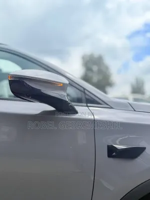 New BYD Tang DM-i 2025 Beige