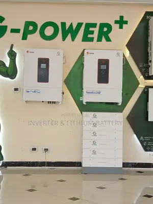 10kw 3-Phase Inverter Lithium Battery