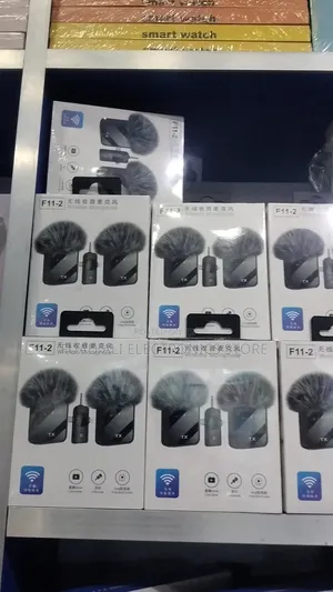 Microphone/Mic/Wireless Microphone