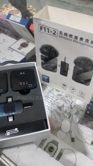 Microphone/Mic/Wireless Microphone