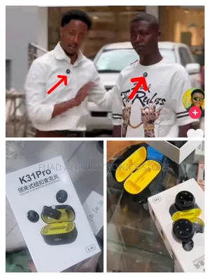 Wireless Microphone/Mic/Microphone