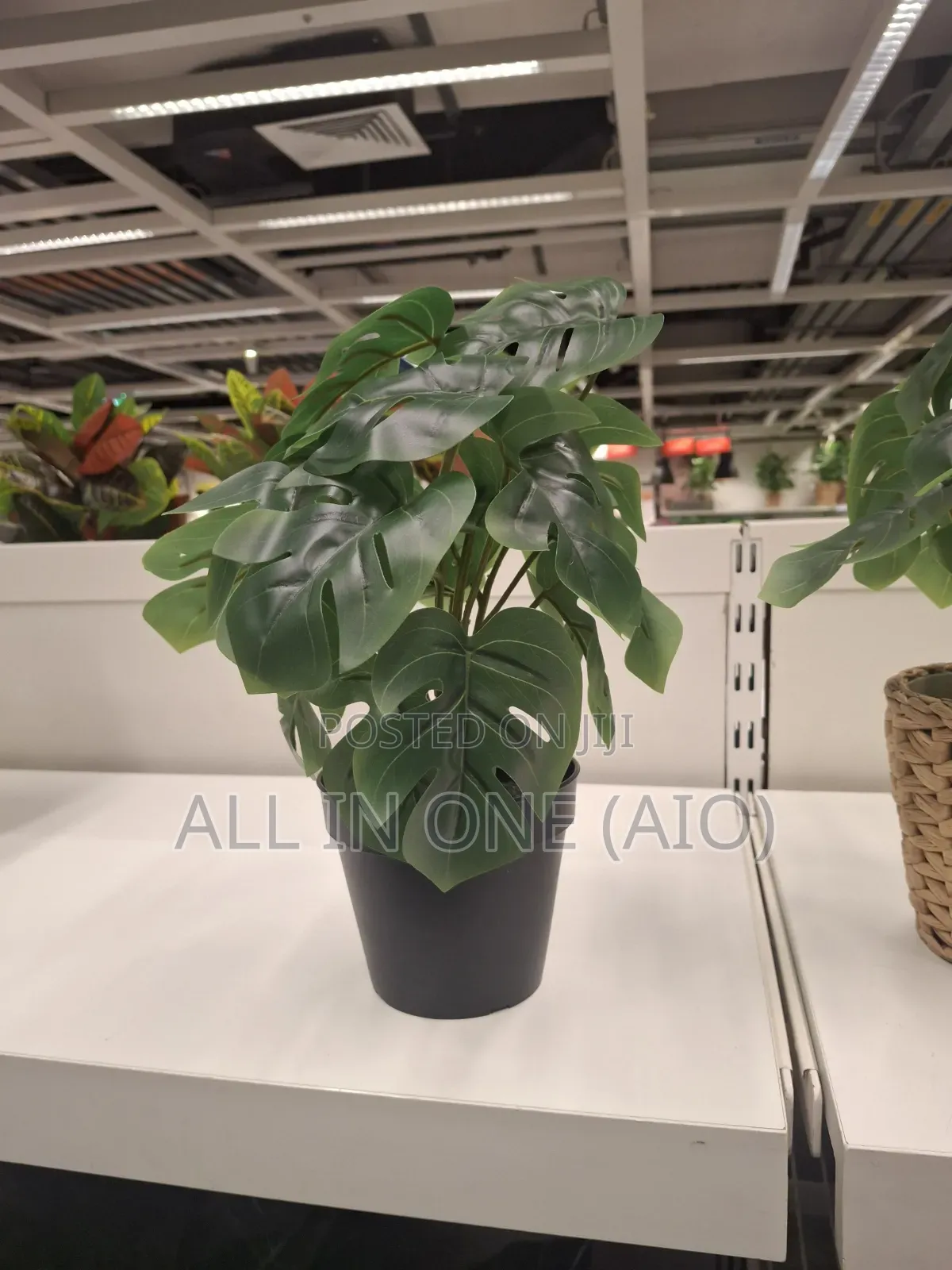 Ikea Fejka Artificial Potted Plant, 12 Cm, in/Outdoor Monstera